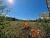 Buy the village "Quiet Harbor" by the Oskol River land plots of the Altai Mountains
